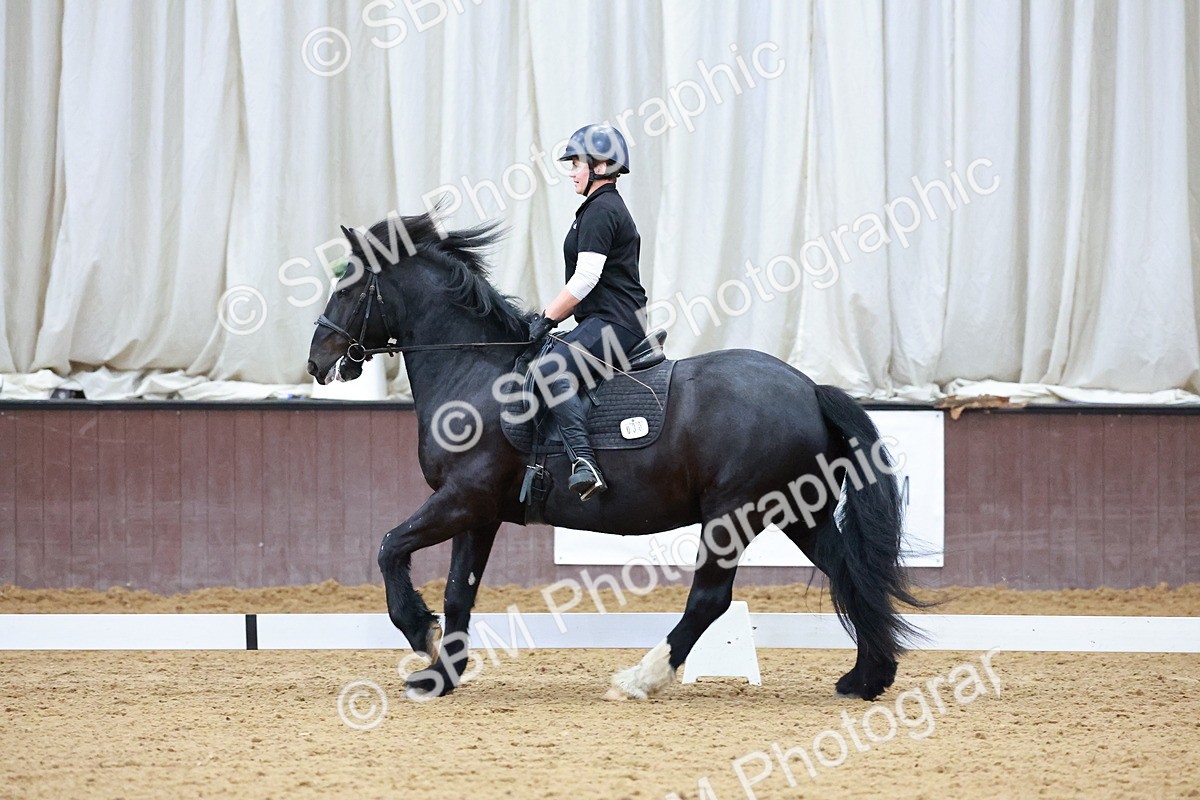 1I0A0803 - Class 3-6 - Prelim 1-Novice 2