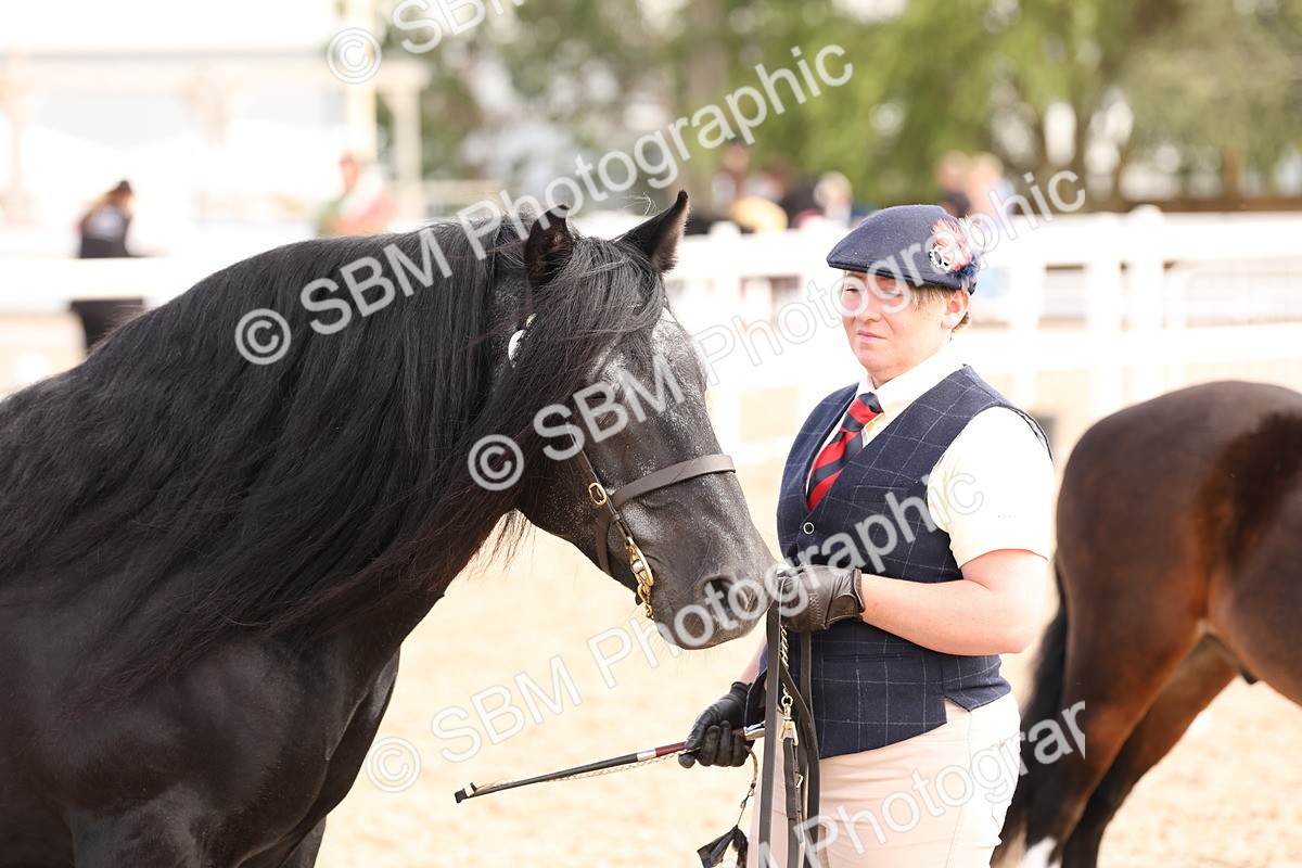 SBM_15120 - Class 209 - IH Veteran Pony