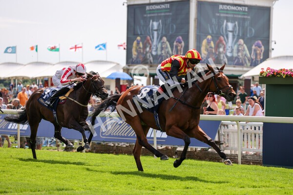 yr08072022r2-18 - Race 2 2.40pm William Hill Summer Stakes