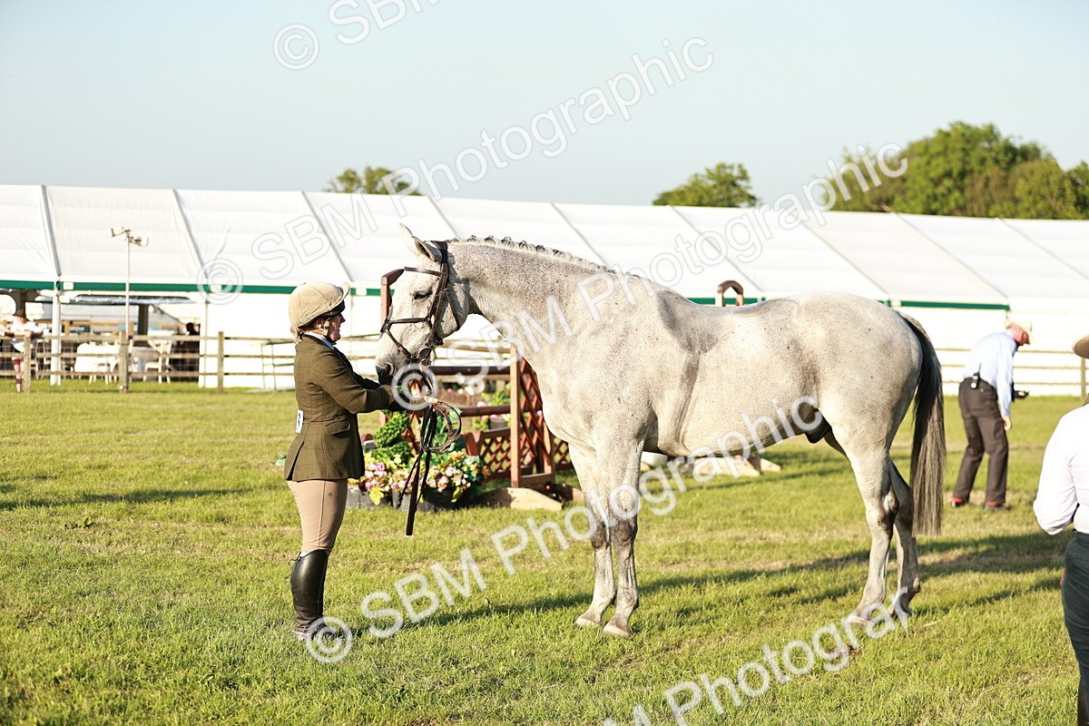 SBM_20551 - Class 117-119 - Sport Horse Working Hunter