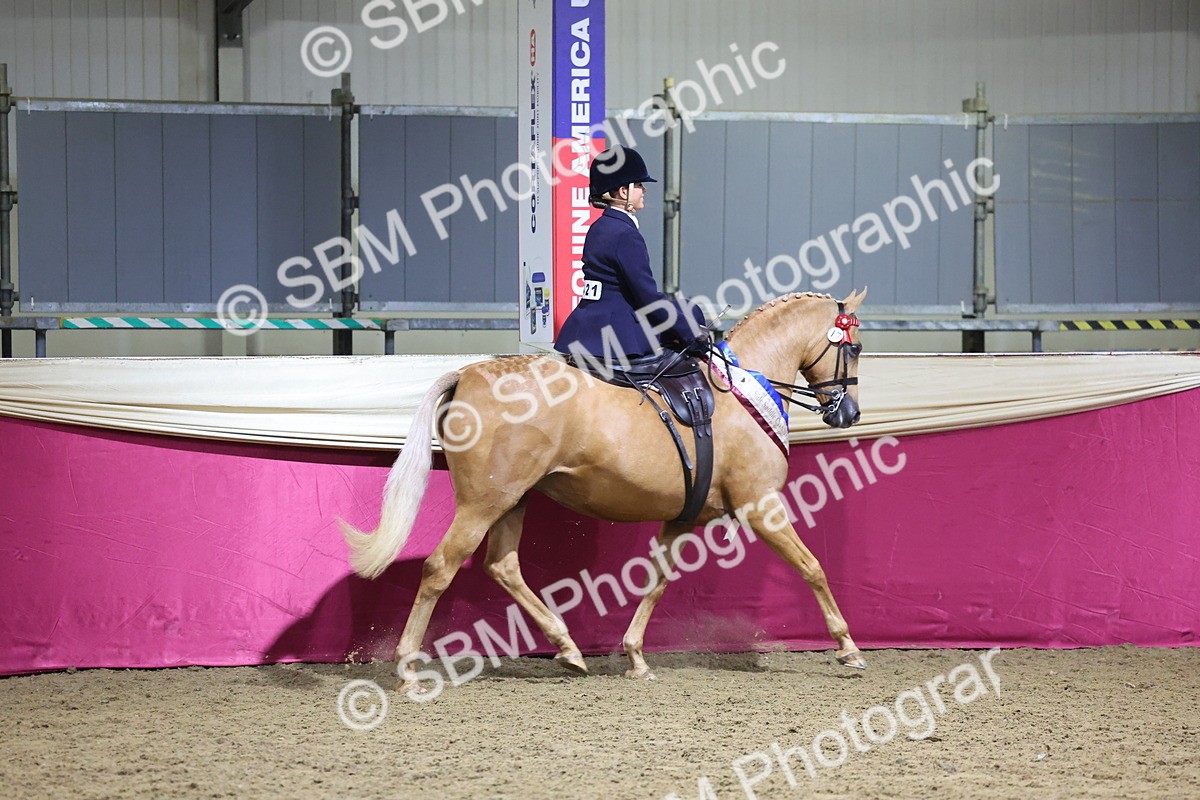 0B8A4260 - Class L Side Saddle Champ