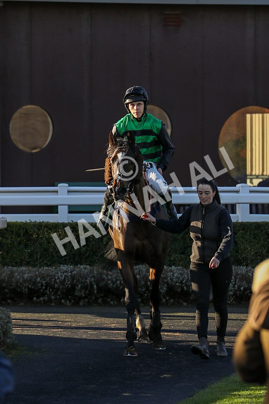 241123-Race 2-Latin Verse-0926 - Race 2