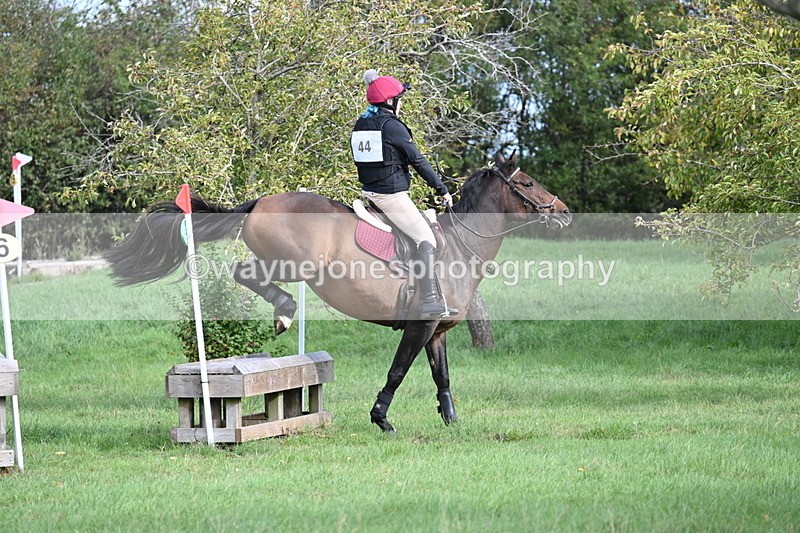 WJ7_8315 - 60cm Pairs