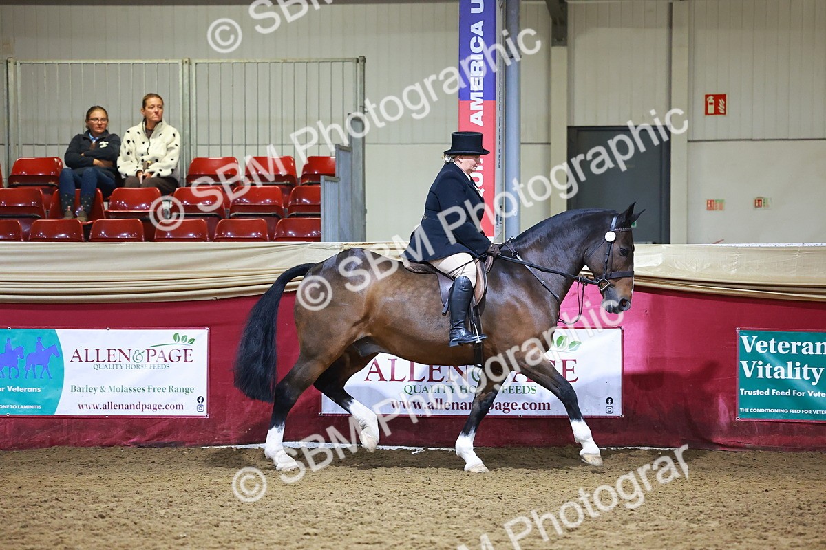 SBM_15669 - Class T - Working Veteran Champ