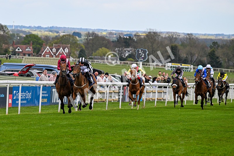 150426-Race 1-Thankfully-4617 - Race 1