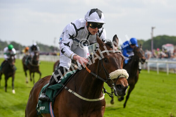 yr13052022r5-31 - Race 5 4.10pm Paddy Power 'Fill Thi Boots' Stakes
