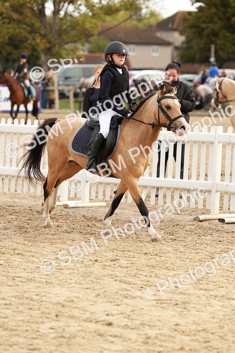 SBM_57682 - J11 - Junior Pony 50cm Championship