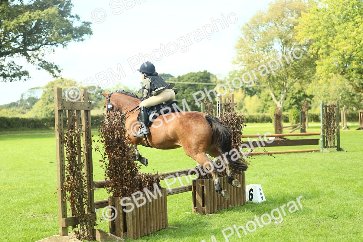 SBM_44615 - S31 - Working Hunter Pony