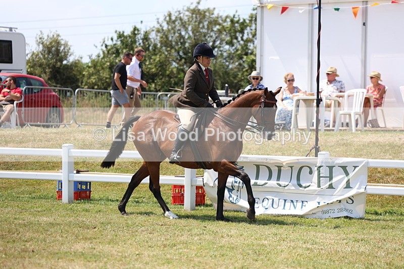3E7A9305 - Class 12: Open Racehorse to Show Horse
