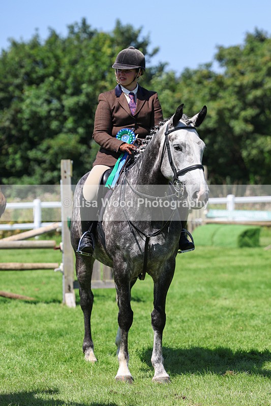 3E7A9106 - Class 6: Open Working Horse