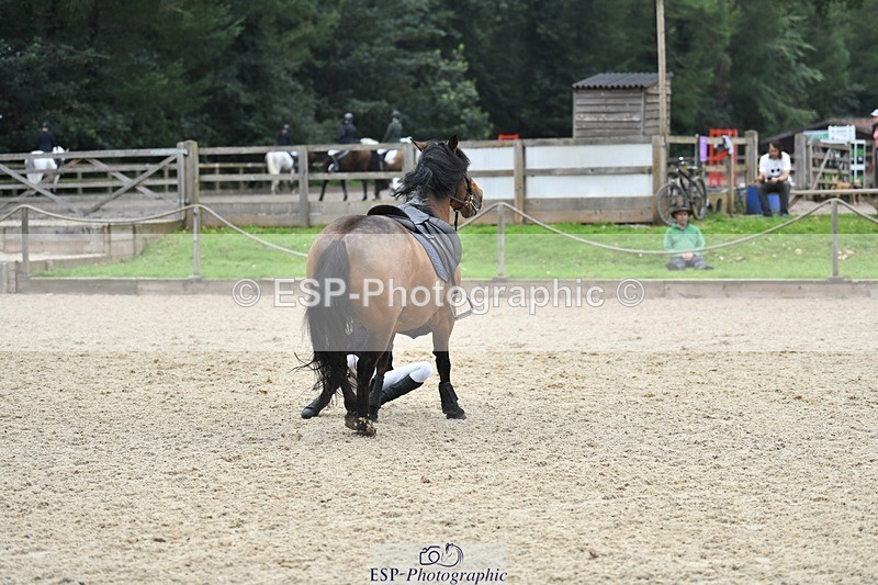 230820-124159-00671 - 70cm - Round 2