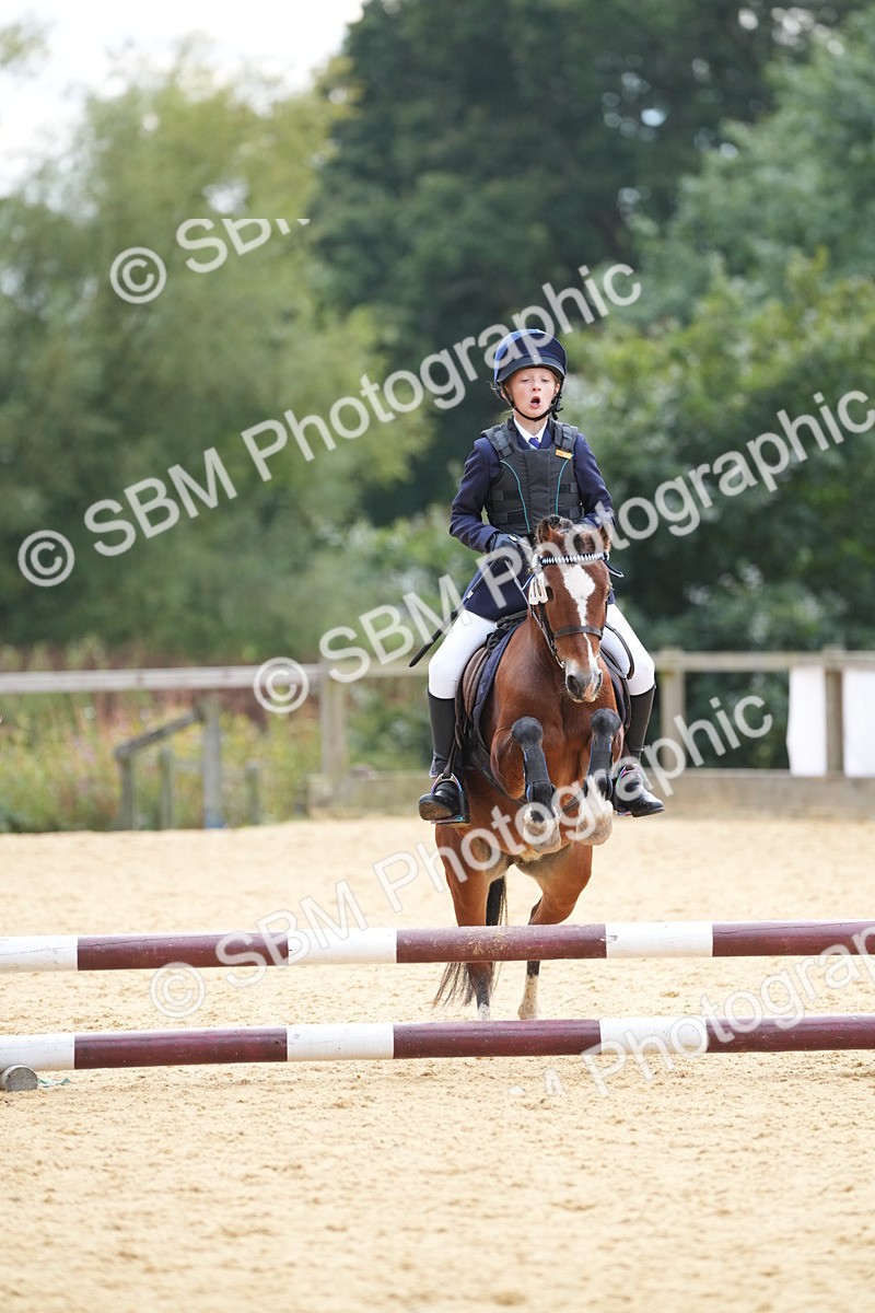 SBM_74740 - J4 - Mini Tour Junior Pony 45cm Championship