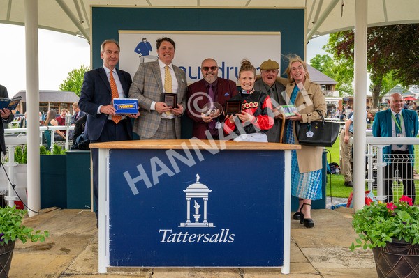 150524-Race 5-Diligent Resdev-7403 - Race 5 4.15pm Conundrum HR Consulting Handicap