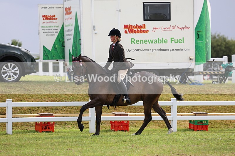 3E7A8098 - Class 2: Rising Star Large Hack/Riding Horse