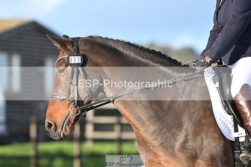 231105-151038-03011 - Cls 4 Novice 24 15.24 to 16.35 break