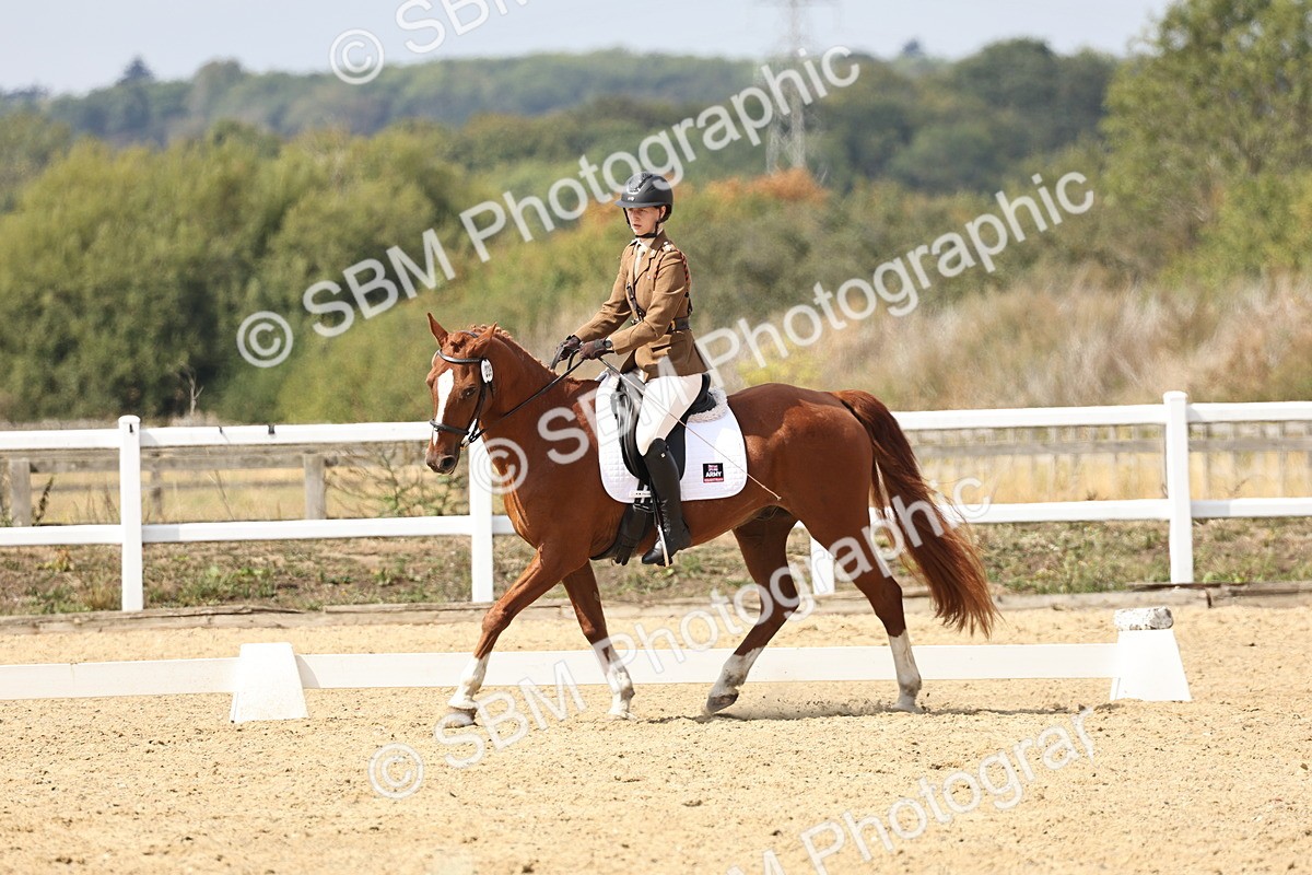 SBM_018800 - Class 16 - Novice 5 - 12.08-13.11