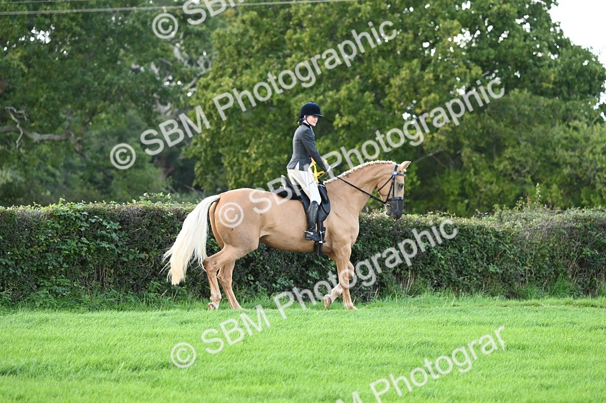 SBM_26529 - S6 - Novice & newcomer Ridden horse