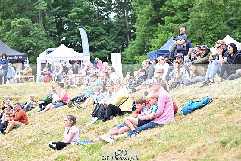 250524A-160858-13208 - Demo Arena Crowds