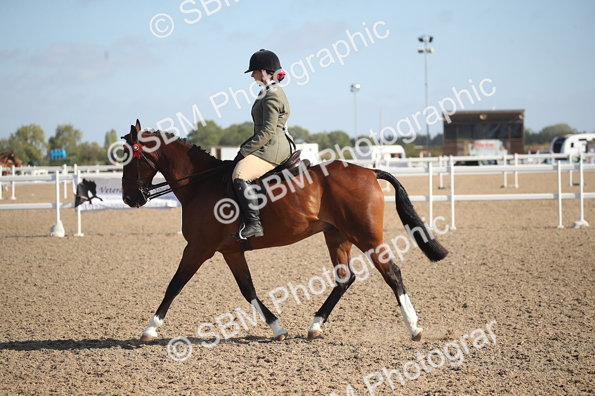 SBM_22721 - Class 601 - 2026 - Area - Ridden Diamond