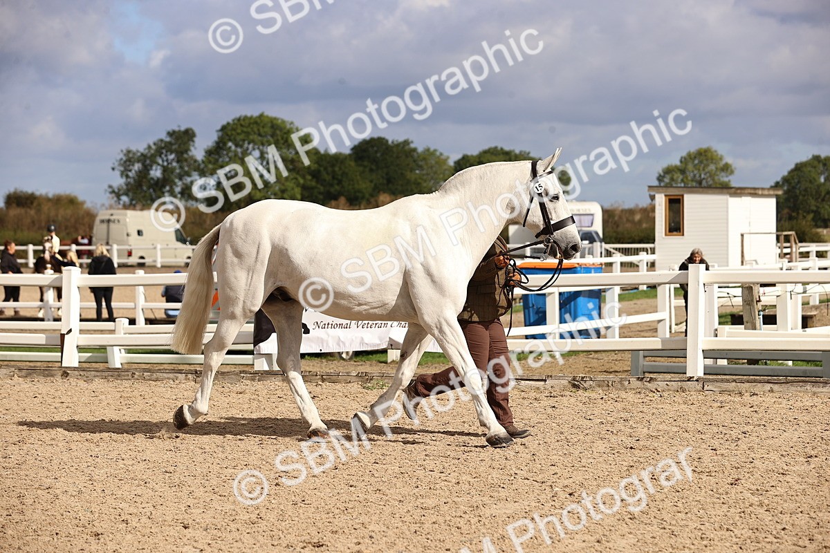 SBM_10365 - Class 405 - IH Show Cob