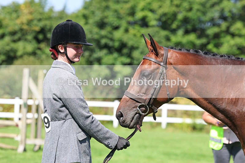 3E7A8495 - Class 4: Novice working Hunter