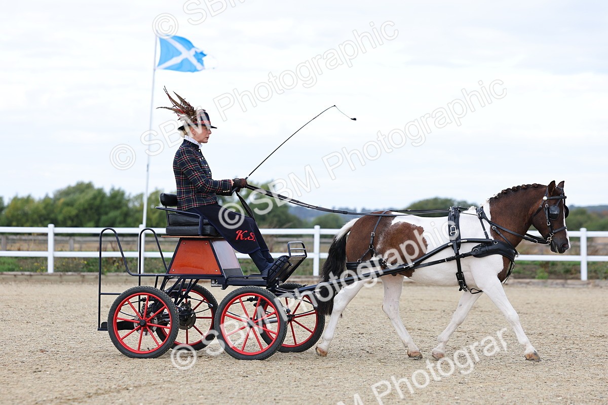 SBM_000252 - Class 2 - Exercise Vehicle 13.2hh & Under