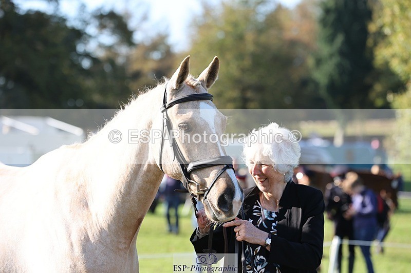 241027-103327-15962 - 519-Jane.Rogers-CORRIEVIEW.MERLIN.MAGIC