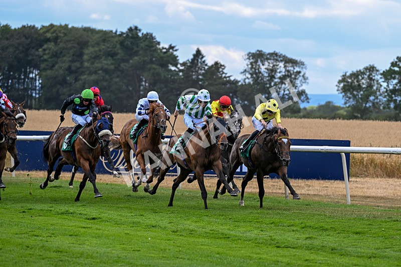 010826-Race 5-Asuka-3054 - Race 5 15.47pm William Hill Epic Boosts Handicap