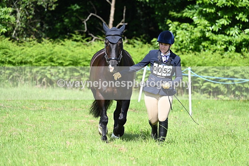 WJ7_1129 - Class 11 Condition & Turnout