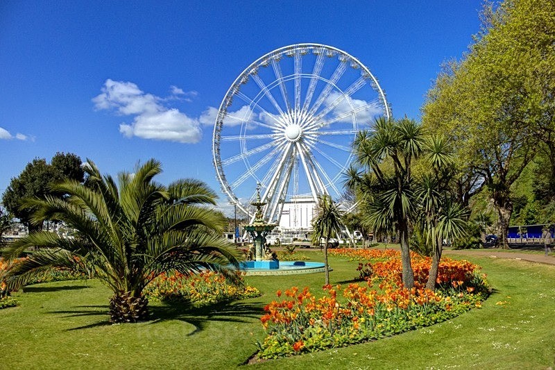 The fountain and Big Wheel at Princess Gardens in Torquay 2