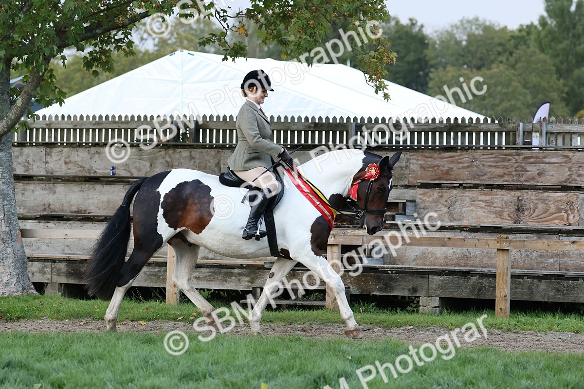 SBM_53408 - Super Supreme Championship (Sat)