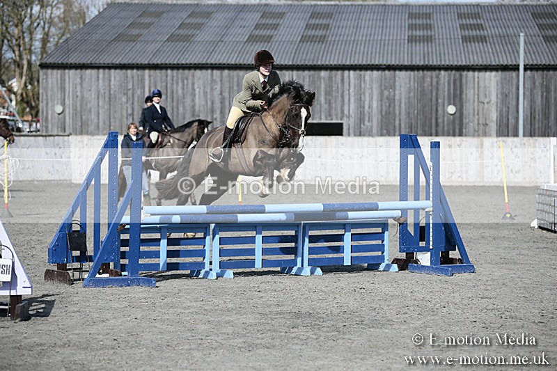 BVRC SJ 170319 531 - Bourne Valley Riding Club Showjumping 17/03/19