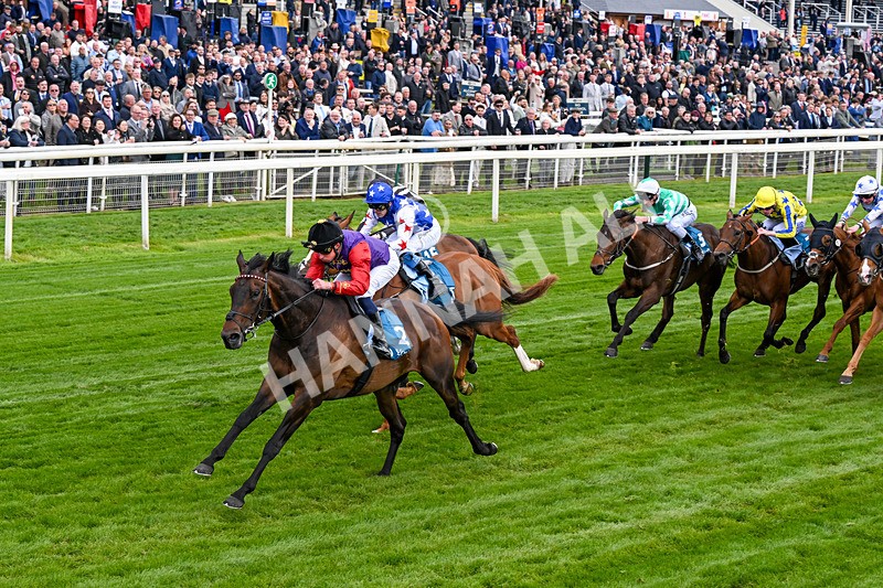 150526-Race 3-Warrant Holder-0178 - Race 3 2.55pm Support Macmillan Charity Raceday On 13 June Handicap