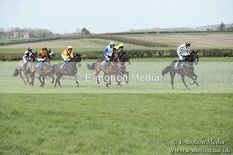 PtP 230319 247 - VWH Hunt Siddington Point-to-Point Racing 23/03/19