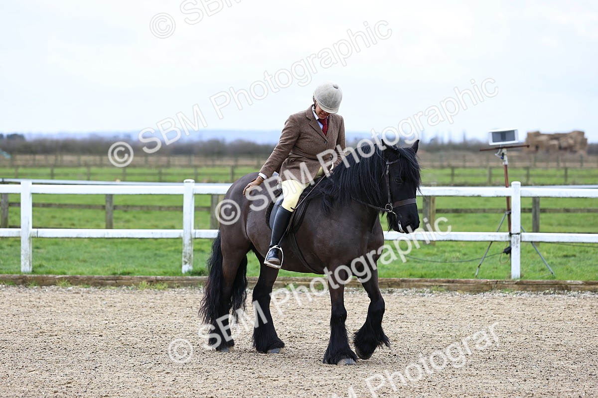 SBM_006992 - Class 29 - 30 - M&M Pure Novice Small-Large Breeds