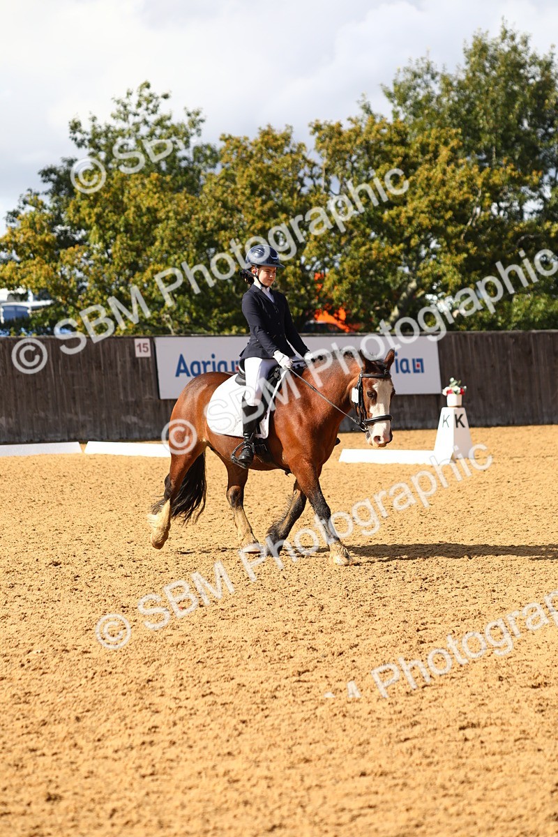 SBM_49106 - D23 - Junior Championship Prelim 1