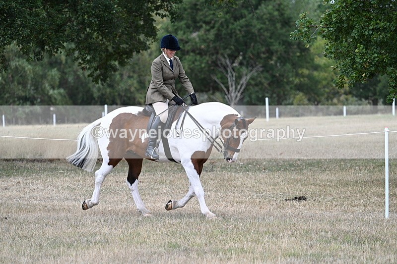 WJ7_4824 - Class 12 Ridden Cob