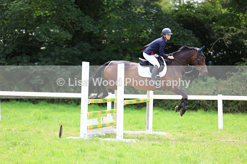 3E7A6975 - Class 5: Senior British Novice/90cm open