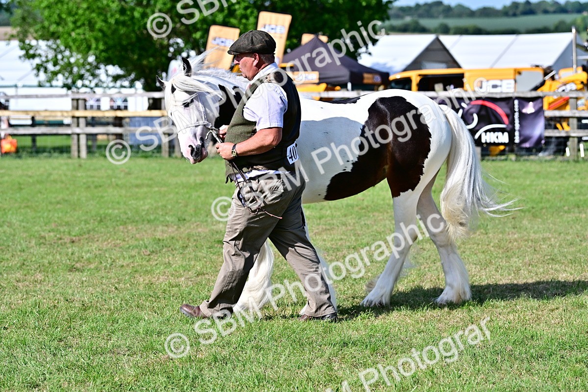 SBM_10036 - Class 63-65 - Traditional Gypsy Cobs In Hand & Ridden