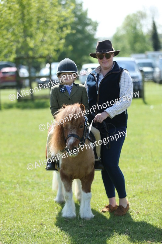 20250427-2668 - Class 6 - Pony Judge Would Most Like To Take Home