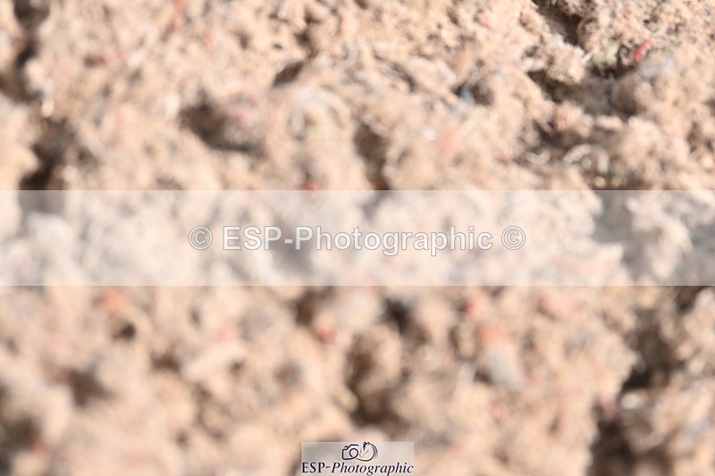 240622A-102217-08179 - Cls 28 BD Music Novice