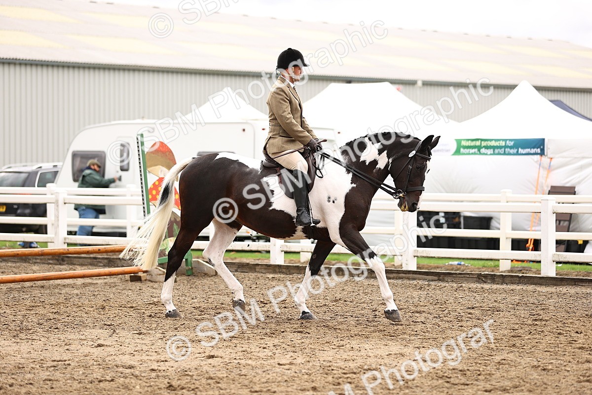 SBM_00536 - Class 53 - Ridden Competition Horse Pony