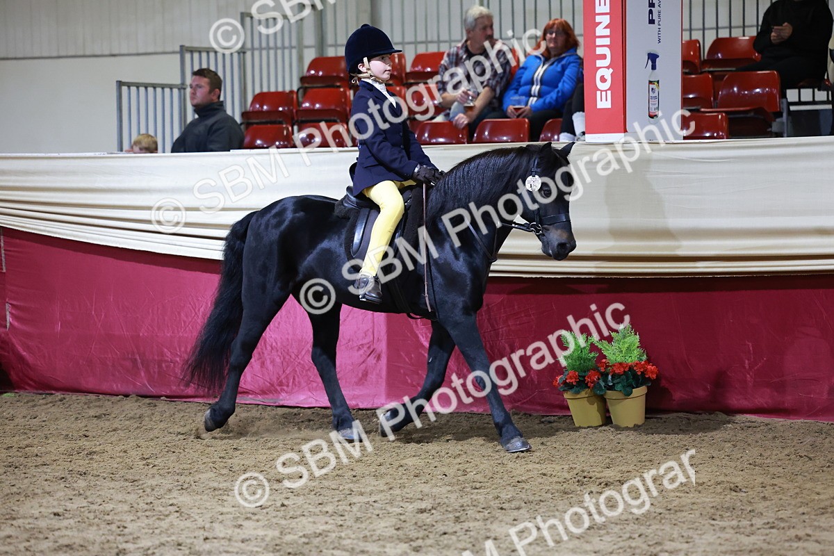 SBM_21336 - Class T - Working Veteran Champs