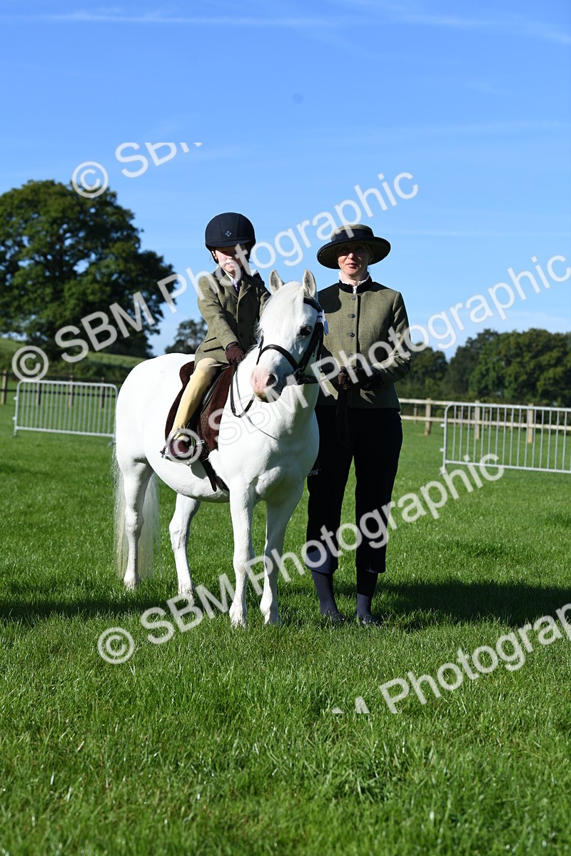 SBM_35409 - S17 - Condition & Turnout - Lead Rein