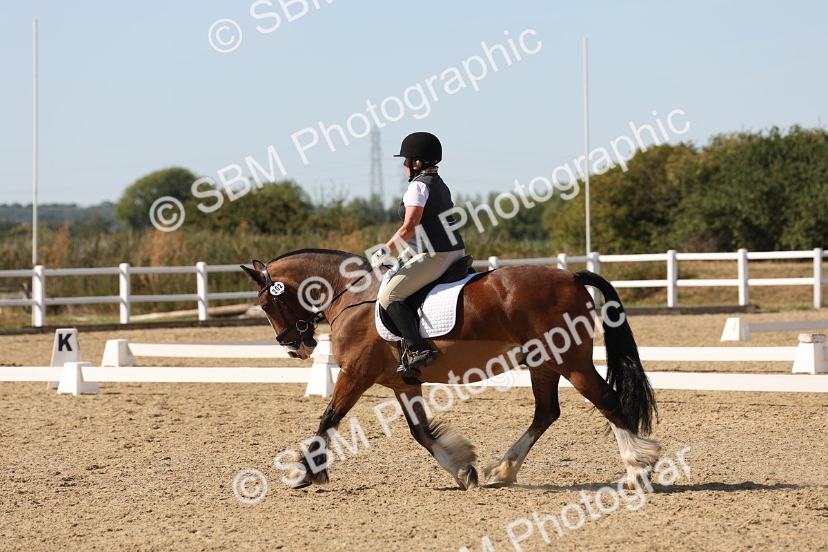 SBM_003787 - Elementary 4