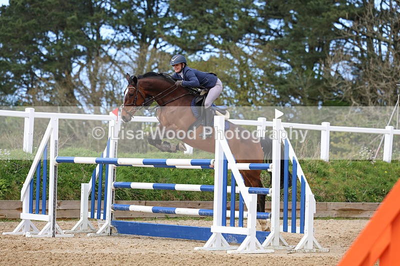 3E7A2138 - Class 8: Senior Foxhunter/1.20 open