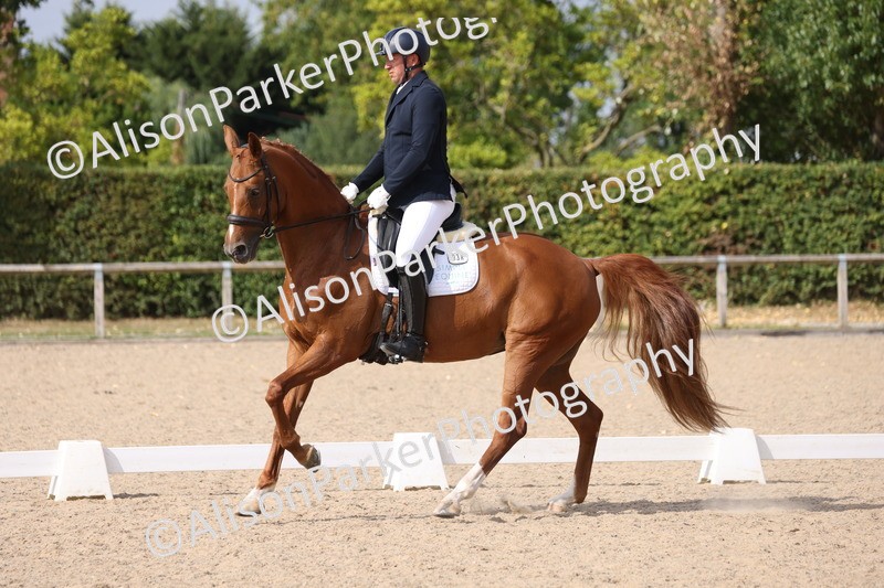 20250820-1399 - Class 19 - Medium 3