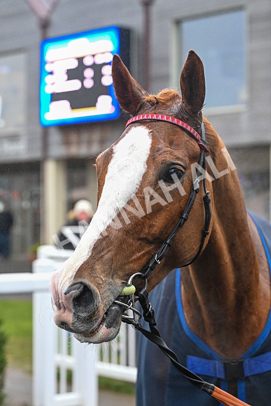 210126-Race 2-Kosac dOudairies-3919 - Race 2