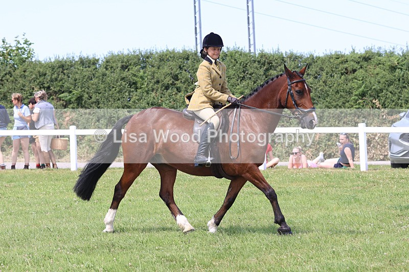 JPP_3217 - Class 22: Working Hunter 70cm