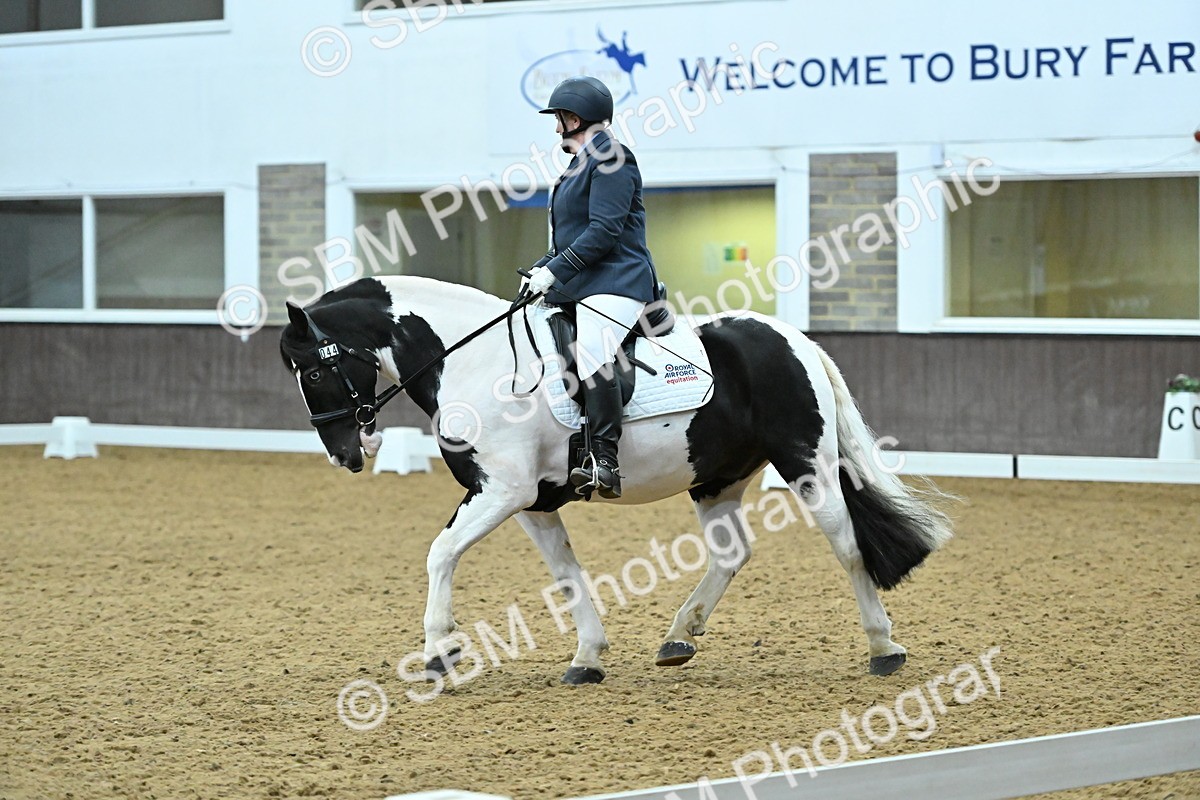 SBM_007412 - Class 81 - Novice 3